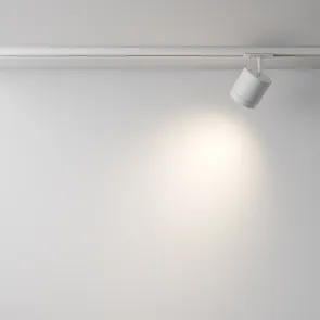 Track Luminaire TR088-1-GX53-W