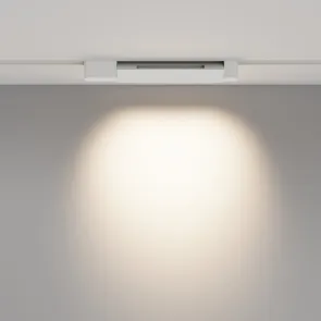 Track Lighting TR010-1-10W4K-M-W-DE