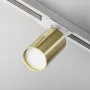 Track Luminaire...