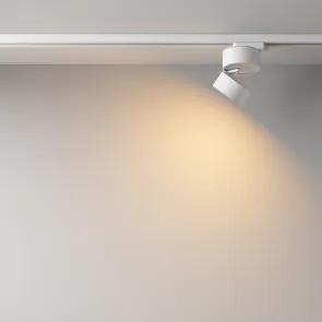 Track Lighting TR007-1-12W2.7K-W-1