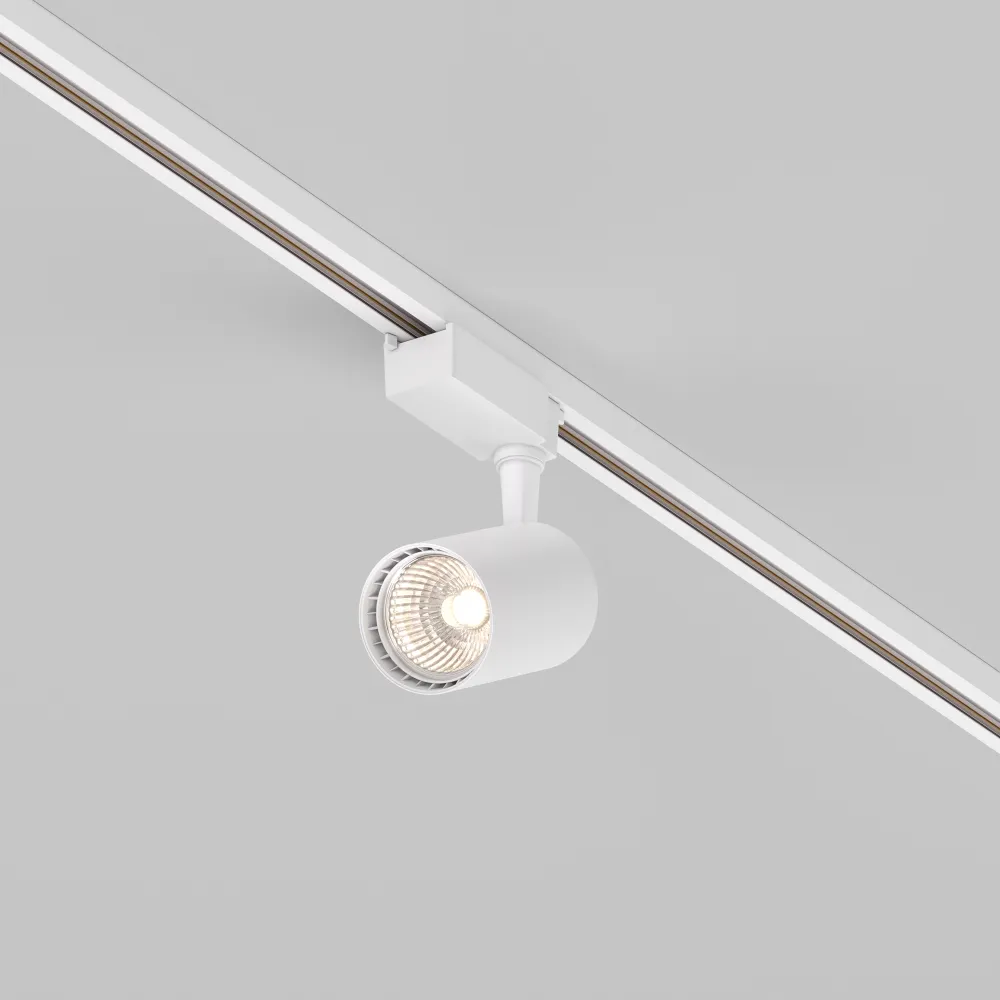 Track Lighting TR003-1-10W3K-S-W