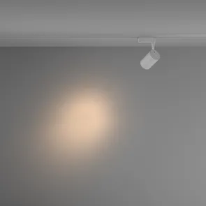 Track Lighting TR003-1-10W3K-S-W