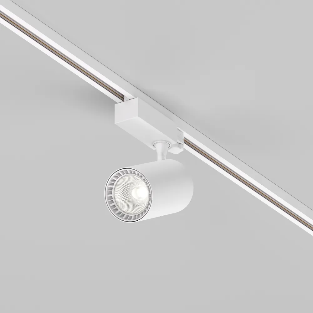 Tirnična svetilka TR029-3-20W4K-S-W