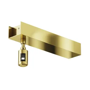 Ceiling base for power supply unit with "Flarity" power input brass TRA156C-BB1-BS