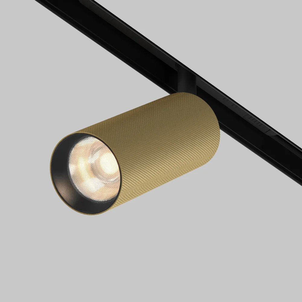 Magnetic track light TR097-2-12W3K-M-BMG
