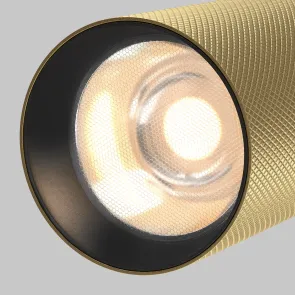 Magnetic track light TR097-2-12W3K-M-BMG