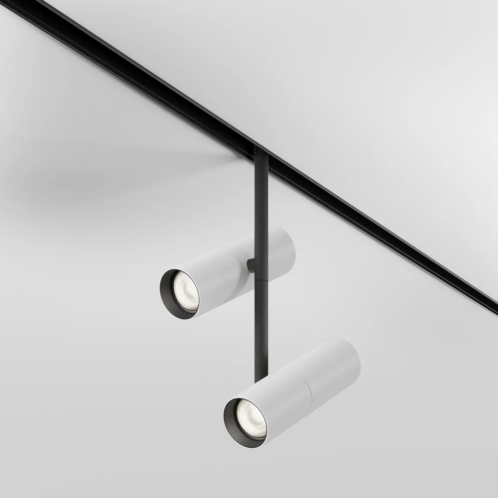Magnetic track light TR005-4-2X12W-DS-BW