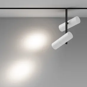 Magnetic track light TR005-4-2X12W-DS-BW