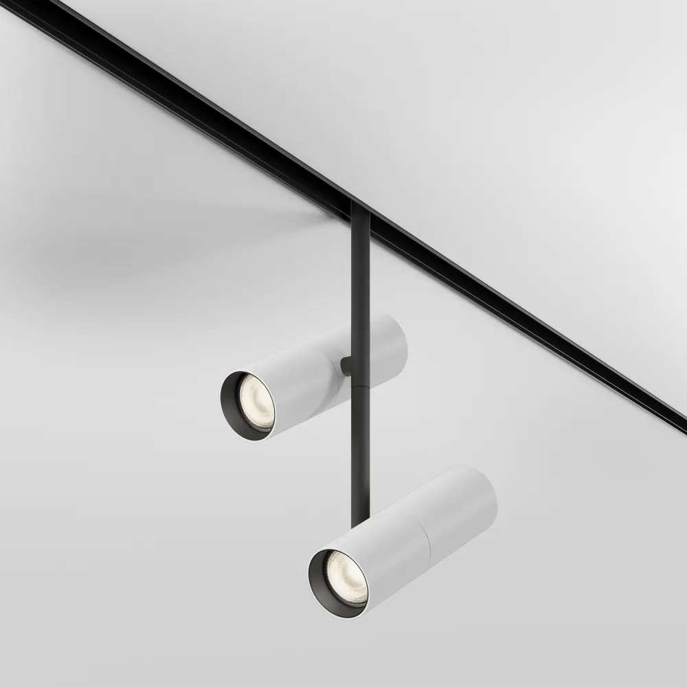 Magnetic track light TR005-2-2X12W3K-BW