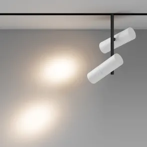 Magnetic track light TR005-2-2X12W3K-BW