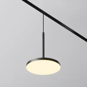 Pendant track luminaire TR123-2-15W3K-B