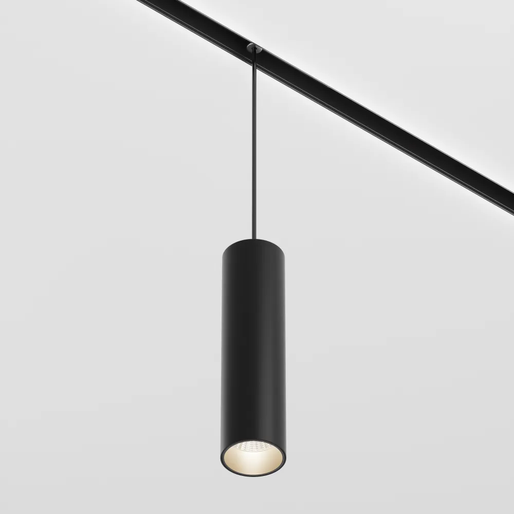 Pendant track luminaire TR041-4-12WTW-DD-B