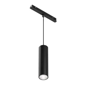 Pendant track luminaire TR041-4-12WTW-DD-B