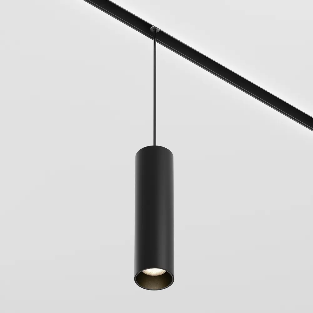 Pendant track luminaire TR041-2-12W3K-B