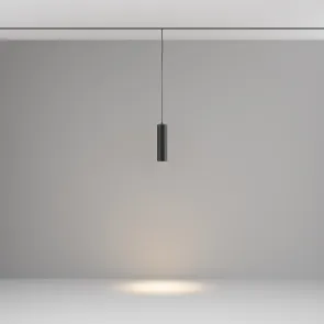 Pendant track luminaire TR041-2-12W3K-B