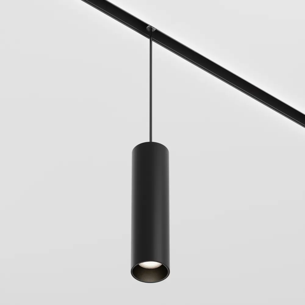 Pendant track luminaire TR041-2-12W4K-B