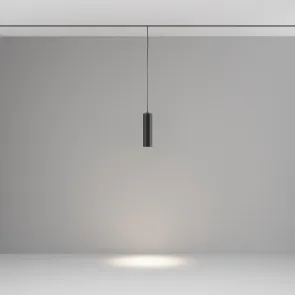 Pendant track luminaire TR041-2-12W4K-B