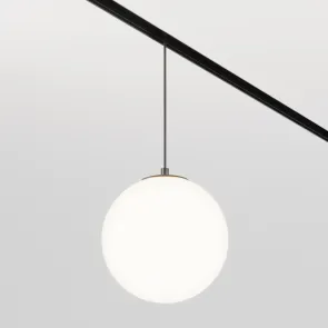 Pendant track luminaire TR039-4-5W3K-WW-DS-1