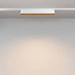 Magnetic track light TR084-1-12W3K-W