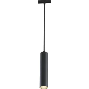 Pendant track luminaire TR016-2-12W3K-B