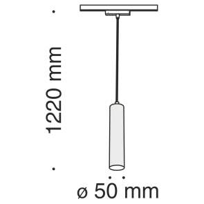 Pendant track luminaire TR016-2-12W4K-B