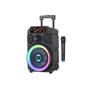 GIGATECH Speaker Gigatech BSK-510 (FM/USB/TF/bluetooth) 8" karaoke with wireless microphone