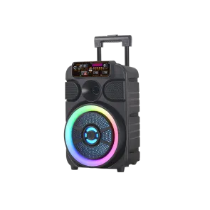 GIGATECH Zvočnik Gigatech BSK-510 (FM/USB/TF/bluetooth) 8" karaoke z brezžičnim mikrofonom