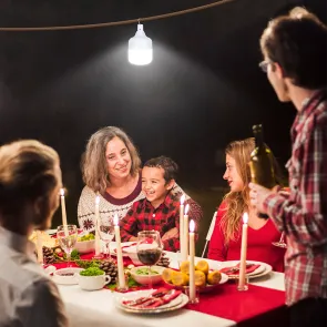 GREEN TECH LED solar lamp Green Tech, 50W, 7000K, IP20, dimmable - HLS-50W