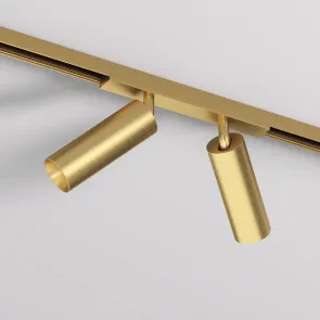 Dvojna tirna svetilka 2×8W 3000K 48V medenina SHINE (DK/EU-5742-SB)