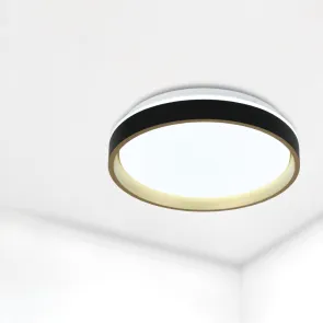 GREEN TECH LED ceiling light Green Tech 24W, 4000K, diameter 39cm - CLD-8904